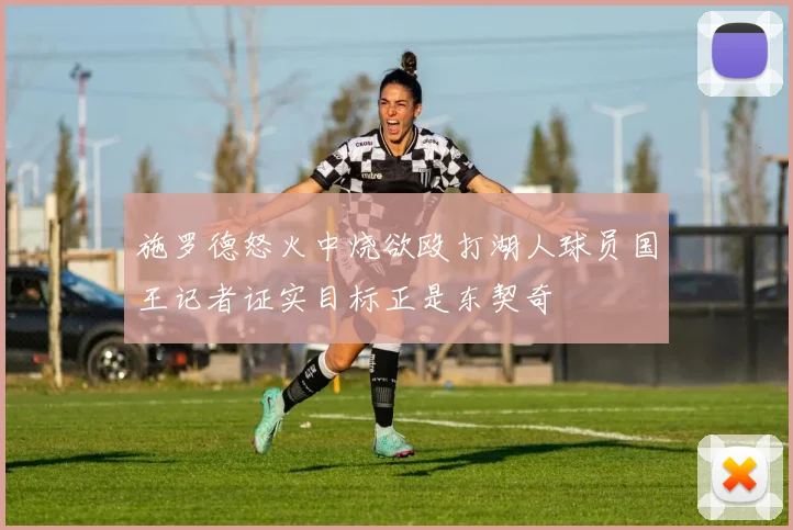 施罗德怒火中烧欲殴打湖人球员国王记者证实目标正是东契奇